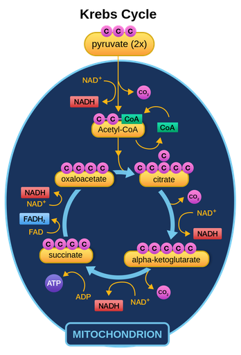 Pasted image 20250401135926.png